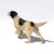 English Painted Cast Iron Hunting Dog, English, Circa 1900 For Sale - Image 3 of 7