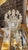 19th Century 19th Century Swarvoski Crystal Chandelier For Sale - Image 5 of 10