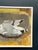 Ingeborg Stragnell, Seagull, 1960s, Oil Painting on Canvas, Framed For Sale - Image 4 of 18