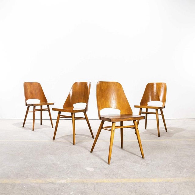 1950s Honey Beech Dining Chairs by Radomir Hoffman, 1950s, Set of 4 For Sale - Image 5 of 12