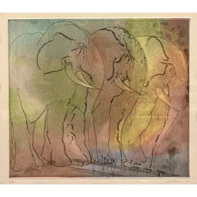 Paint Stanley Boxer Stanley Boxer Aquatint Intaglio Etching Elephant Herd Abstract Expressionist 1979 For Sale - Image 7 of 12