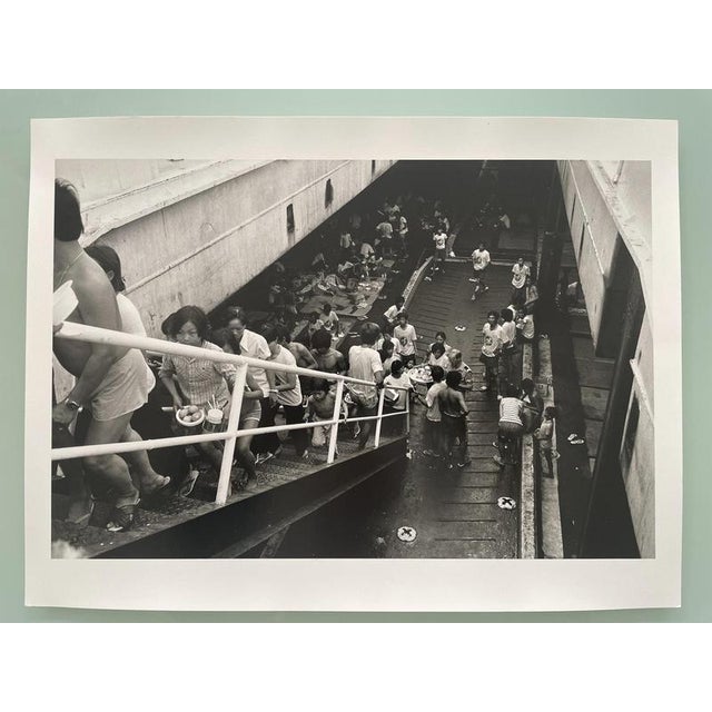 Late 20th Century Jose Nicolas, Le Rose Schaffino, 1987, Silver Print For Sale - Image 5 of 5