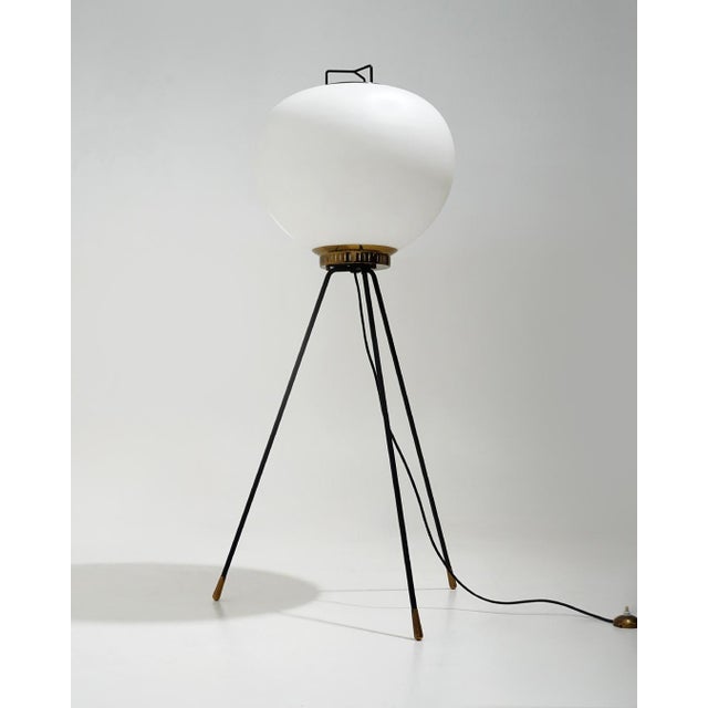 Stilnovo GlassTripod Floor Lamp from Stilnovo, 1950s For Sale - Image 4 of 16