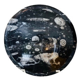 Vintage Large Orthoceras Sea Shell Ammonite Fossil Bowl Catchall Dish For Sale