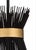 Black finish on iron with antique gold leaf trim. Adjustable extension rod from 6" to 42", comes with one 6" rod and three...