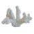 Large Nautical Natural Coastal White Branch Coral Specimen For Sale