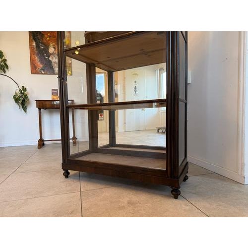 Brown Antique Biedermeier Display Cabinet, 1865 For Sale - Image 8 of 18