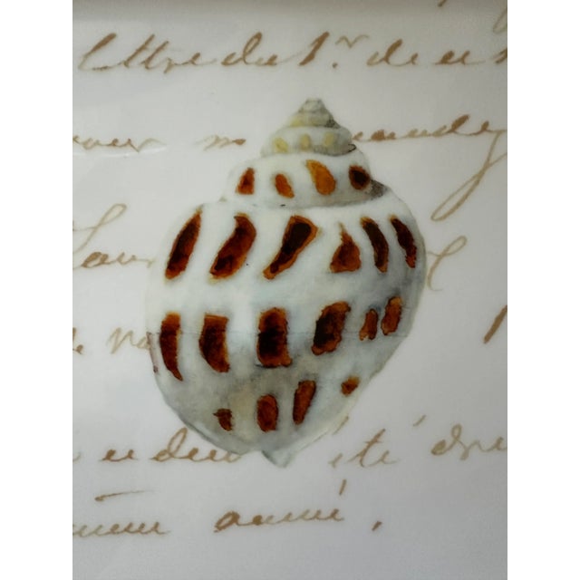 Williams-Sonoma Williams-Sonoma La Mer Shells Platter, Marc Lacaze For Sale - Image 4 of 12