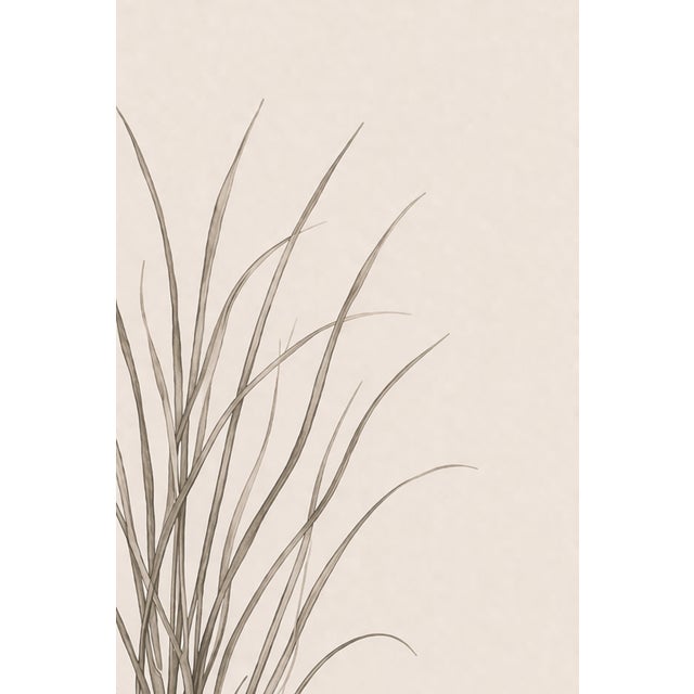 Paper Coastal Sea Grass Study Iv, Minimalist Botanical Art Print, 24" × 36" Reproduction For Sale - Image 7 of 10