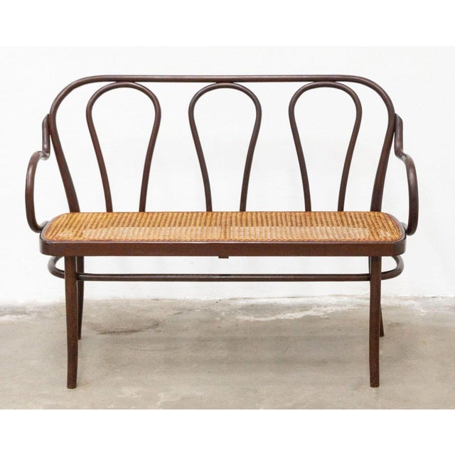 Bench, Late 19th Century For Sale - Image 11 of 11