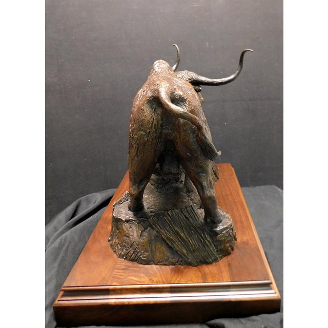 Metal Anton Arkhipov "Longhorn" Buffalo Bronze Sculpture Hand Signed Make an Offer For Sale - Image 7 of 15