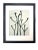 Framed Antique Botanical Blossfeldt Print - No. 18 For Sale