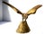 1970s U S Olympic Team Medal Winner's Sculpture Solid Brass Eagle Statue For Sale - Image 10 of 17