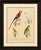 Macaw, Cockatoo & Amazon Parrots, Brodtmann Hand-Colored Lithograph, 1816 This vibrant original hand-colored lithograph...