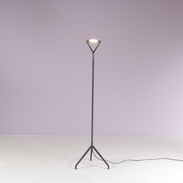 Model Lola D15 Floor Lamp by Rizatto & Meda for Luceplan Italy, 1980s For Sale - Image 12 of 13