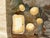 Antique Italian Grand Tour Plaster Intaglios - Set of 5 (Group #9) For Sale - Image 10 of 10