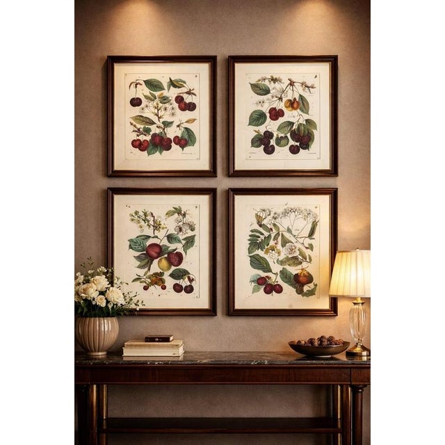 This refined set of four original mid-19th century botanical chromolithographs was published in Stuttgart in 1854 under...