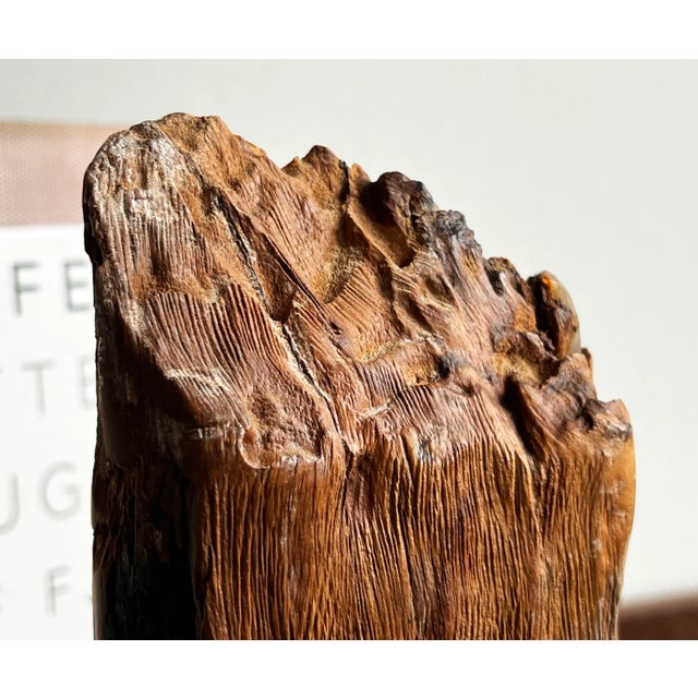 Vintage Mid Century Wood & Lucite Organic Modern Table Sculpture For Sale - Image 4 of 9