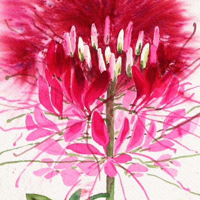 Spider Flower - Dramatic Abstract Pink Botanical Floral Still Life Painting For Sale - Image 4 of 7