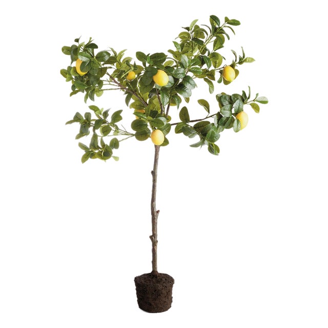 Faux Lemon Tree Drop-In 49" For Sale