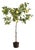 Faux Lemon Tree Drop-In 49" For Sale