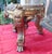 Antique Gilt Gesso Plant Stand from George Hilton & Sons, 1880 For Sale - Image 9 of 16