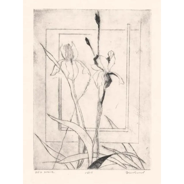 Traditional David Baird Iris Etching For Sale - Image 3 of 3