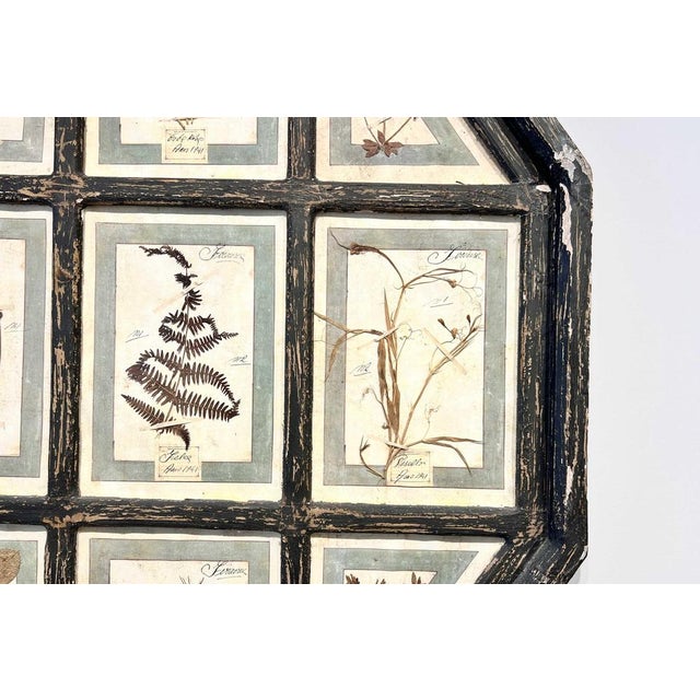 Material: Wood, paper, flora Dimensions: Height: 115 cm, Width: 86 cm Origin: Florence, Italy Date: 1941