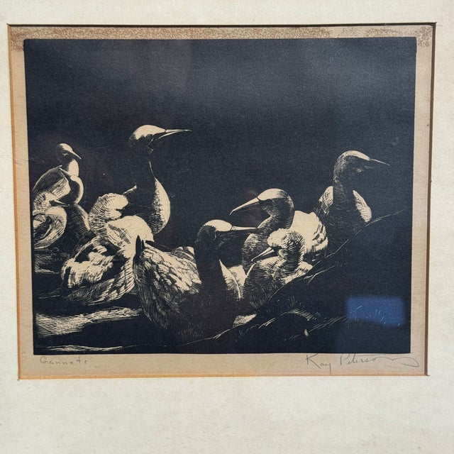 Mid 20th Century Kay Peterson Signed “Gannets” Original Lithograph, Framed For Sale - Image 4 of 8