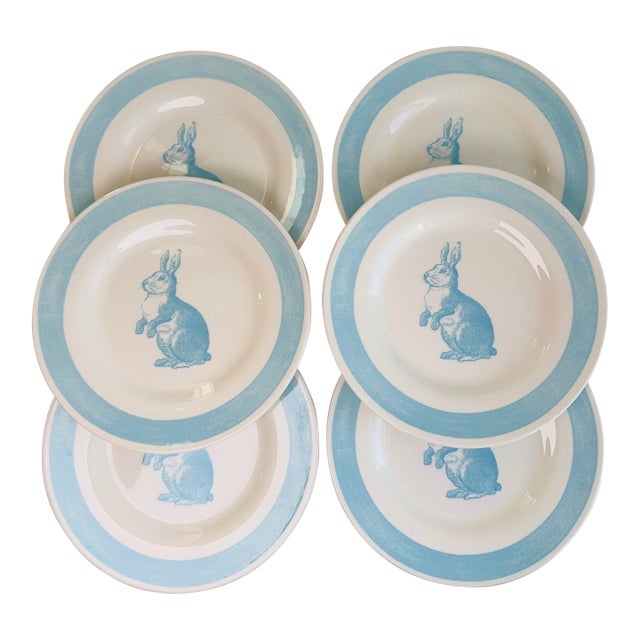 Set of 6, English Bunny Rabbit Plates For Sale