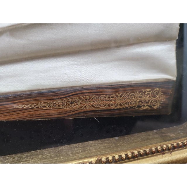 Vintage Framed Jinpra Swallow Hand Fan in Gilded Semi-Oval Shadow Box For Sale - Image 4 of 6