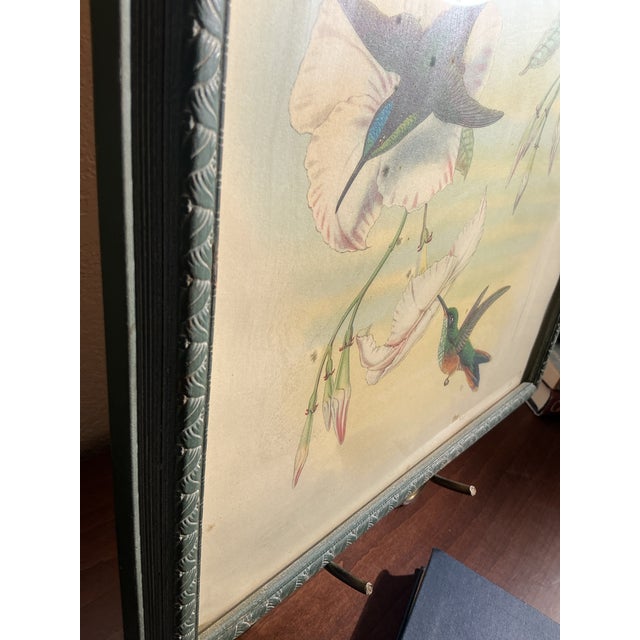 Wood Framed Vintage Ibf Co. Hummingbird Lithograph, Hollywood Picture Frame Co., Mid-Century Botanical Fine Art For Sale - Image 7 of 11