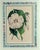 Antique Botanical Prints by Sir Joseph Paxton From the Magazine of Botany For Sale In Philadelphia - Image 6 of 16