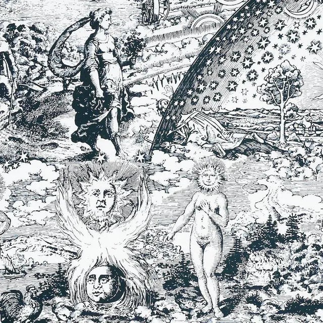 Sample - Schumacher X Johnson Hartig Modern Toile Fabric in Black For Sale