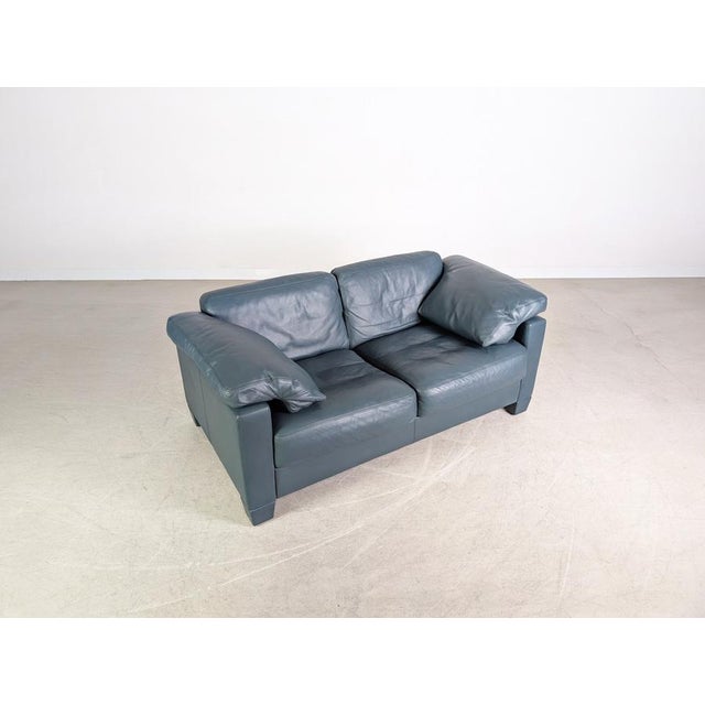 Animal Skin DS 17 2-Seater Sofa in Leather from de Sede For Sale - Image 7 of 12