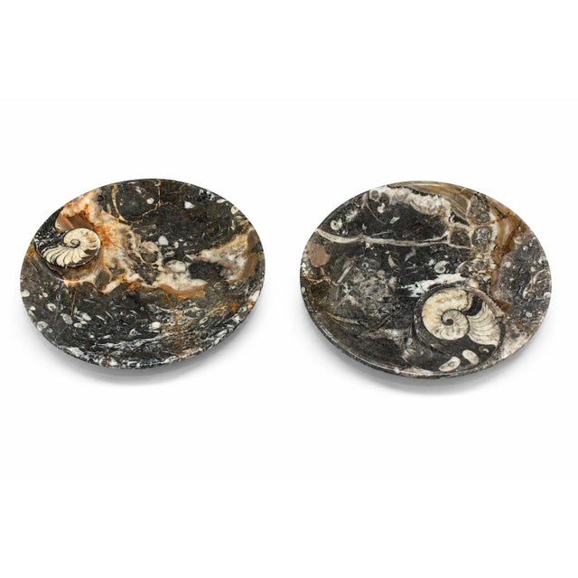 These large, amazing 6.25" plates are crafted from ammonite fossil stone, a natural material formed from the fossilized...