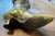 Metal Mid 20th Century Brass Ladies High Heel Shoe For Sale - Image 7 of 9