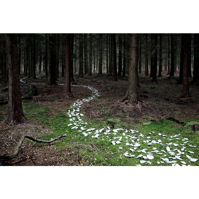 Come With Me 9 is a Digital C-Type Print on Fuji Maxima Matte paper, available in this size from a Limited Edition of 7 +...