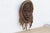 African Original Ceremonial African Cowrie Mask For Sale - Image 3 of 6