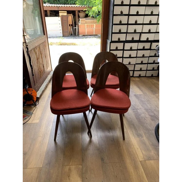 Mid-Century Dining Chairs by Antonín Šuman for Tatra Furniture, 1960s, Set of 4 For Sale - Image 6 of 8