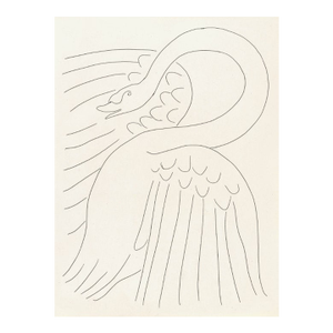 Henri Matisse 123 Le Cygne 1946