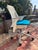 Herman Miller Herman Miller Sayl Chair Berry Blue For Sale - Image 4 of 12
