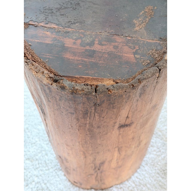 Rustic Hand Hollowed Tree Trunk Umbrella Stand For Sale - Image 10 of 11