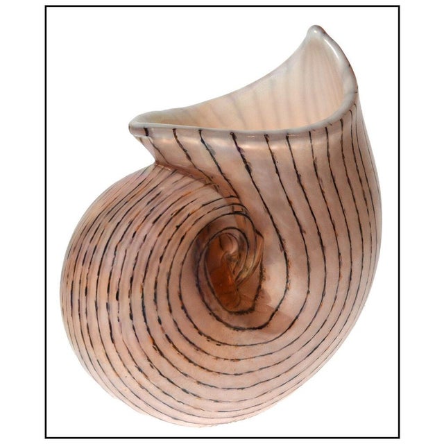 The artwork here, "Murano Glass Shell", is a wonderful depiction of a nautilus seashell, that was designed with acute...