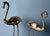 Late 20th Century Italian Mid Century Modern Style Pair of Brass Flamingos in Hollow For Sale - Image 6 of 12
