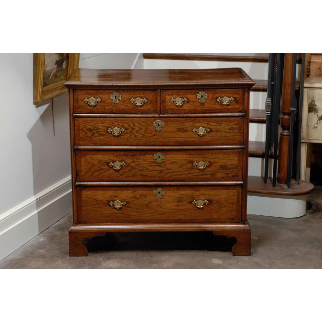 English English 1820s Regency Oak Five-Drawer Commode with Crossbanding and Bracket Feetv For Sale - Image 3 of 10