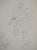 Modern Henri Matisse, Nature morte aux citrons, Lithograph For Sale - Image 3 of 6