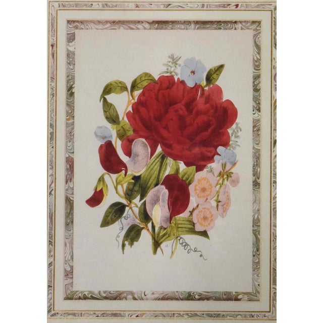 This is a lithograph print of a detailed botanical illustration, attributed to Mrs. J.W. Loudon. The artwork depicts a...