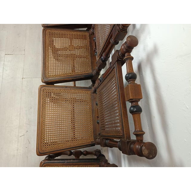 Antique Cane Chairs in Walnut, Set of 9 For Sale - Image 15 of 18