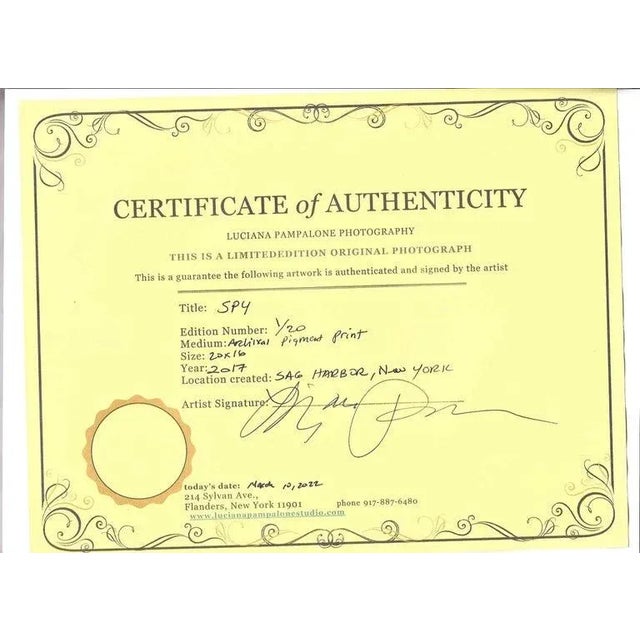 Black Woman Portrait Photography Print Titled "Spy" by Luciana Pampalone For Sale - Image 8 of 10